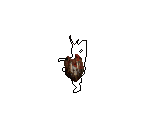 Fallen Buckler - Diablo 2 / Diablo 2: Lord of Destruction