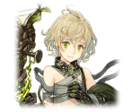Pinocchio (Paladin) - SINoALICE