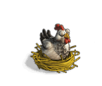Chicken - Zombie Island
