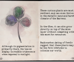 Book - OneShot (Steam Version)