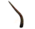 Tentacle Beast (Tentacle) - Diablo 2 / Diablo 2: Lord of Destruction