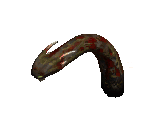 Tentacle Beast - Diablo 2 / Diablo 2: Lord of Destruction