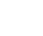 Fonts - ARMS