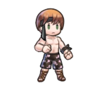 Gaius (Ylissean Summer) - Fire Emblem: Heroes