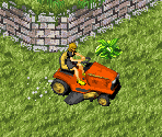 Hayseed Field - The Sims: Bustin' Out