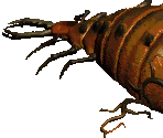 Sand Maggot Queen - Diablo 2 / Diablo 2: Lord of Destruction