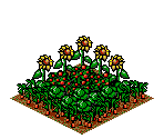 Terrain - SimTown