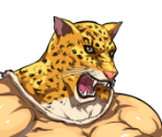 King - Namco High
