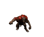 Suicide Minion (Medium) - Diablo 2 / Diablo 2: Lord of Destruction