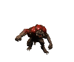 Suicide Minion (Light) - Diablo 2 / Diablo 2: Lord of Destruction