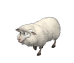 Sheep - Fidelity (Верность)