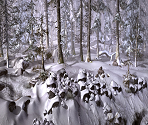 Forest - Syberia II