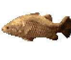 Nile Perch - River King 5 / Kawa No Nushi Tsuri 5