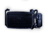 PDA - Cayne