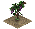 Grape Vines - The Sims