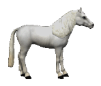 White - Barbie Adventure Riding Club