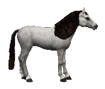 Dapple Grey - Barbie Adventure Riding Club
