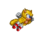 Ray - Sonic the Hedgehog Customs