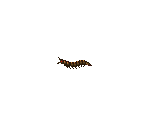 Centipede - Kong: The 8th Wonder of the World
