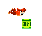 Crash Bandicoot (NES) - Crash Bandicoot Customs