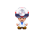 Dr. Toad - Mario & Luigi: Superstar Saga + Bowser's Minions