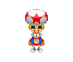 General Starshade - Mario & Luigi: Superstar Saga + Bowser's Minions
