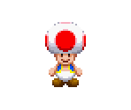 Toad - Mario & Luigi: Superstar Saga + Bowser's Minions