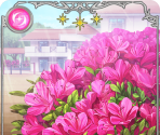 Raised in an Ever Blooming House [memoria_1114] - Puella Magi Madoka Magica Side Story: Magia Record