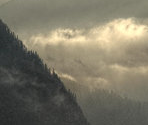 Fog - Endless Sky