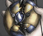 Cutscene Artworks - Vampires Dawn 2: Ancient Blood