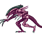 Razor Claws - Alien vs. Predator