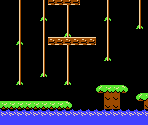 Fields - Donkey Kong Jr.