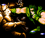 Introduction - Shatterhand (USA)