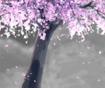 Cherry Tree - Crimson Gray