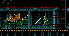 The Terminator - The Terminator