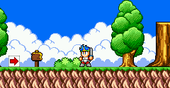 Wonder Boy in Monster World - Wonder Boy in Monster World