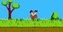 Duck Hunt - Duck Hunt