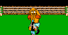 Punch-Out!! / Mike Tyson's Punch-Out!! - Punch-Out!! / Mike Tyson's Punch-Out!!