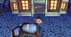 Animal Crossing: Wild World - Animal Crossing: Wild World