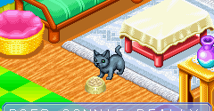 Catz - Catz