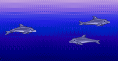 Ecco the Dolphin - Ecco the Dolphin