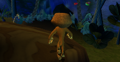 Madagascar - Madagascar