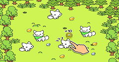 Fox Evolution - Fox Evolution