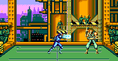 Masters of Combat (PAL) - Masters of Combat (PAL)
