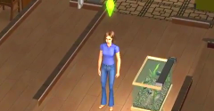 The Sims 2 - The Sims 2