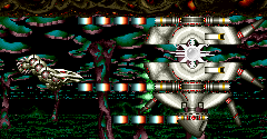 Saint Dragon - Saint Dragon