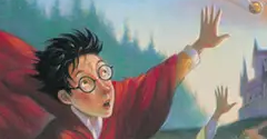Harry Potter Customs - Harry Potter Customs