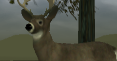 Canada Hunt - Canada Hunt