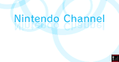 Nintendo DS Title Recommendation Program - Nintendo DS Title Recommendation Program