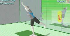 Wii Fit - Wii Fit